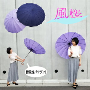 風桜（foosa）